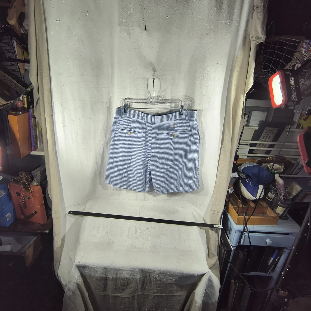 Vineyard Vines Men's Size 34 Flat Front Classic Blue Striped Shorts